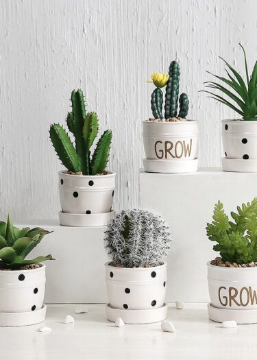 chau-cay-canh-grow-mini-de-ban chau-cay-canh-grow-mini-de-ban