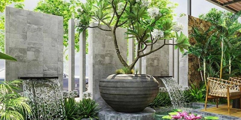 Cây xanh cho sân vườn
