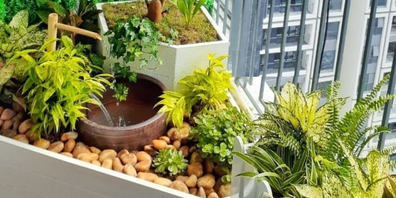 Cây cảnh ngoại thất dễ trồng