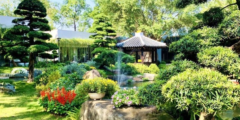 Cây xanh sử dụng trong thiết kế sân vườn