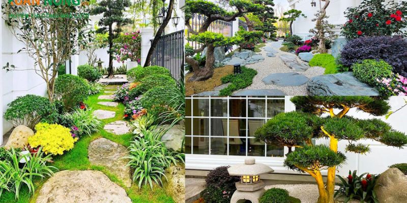 Tiểu cảnh sân vườn